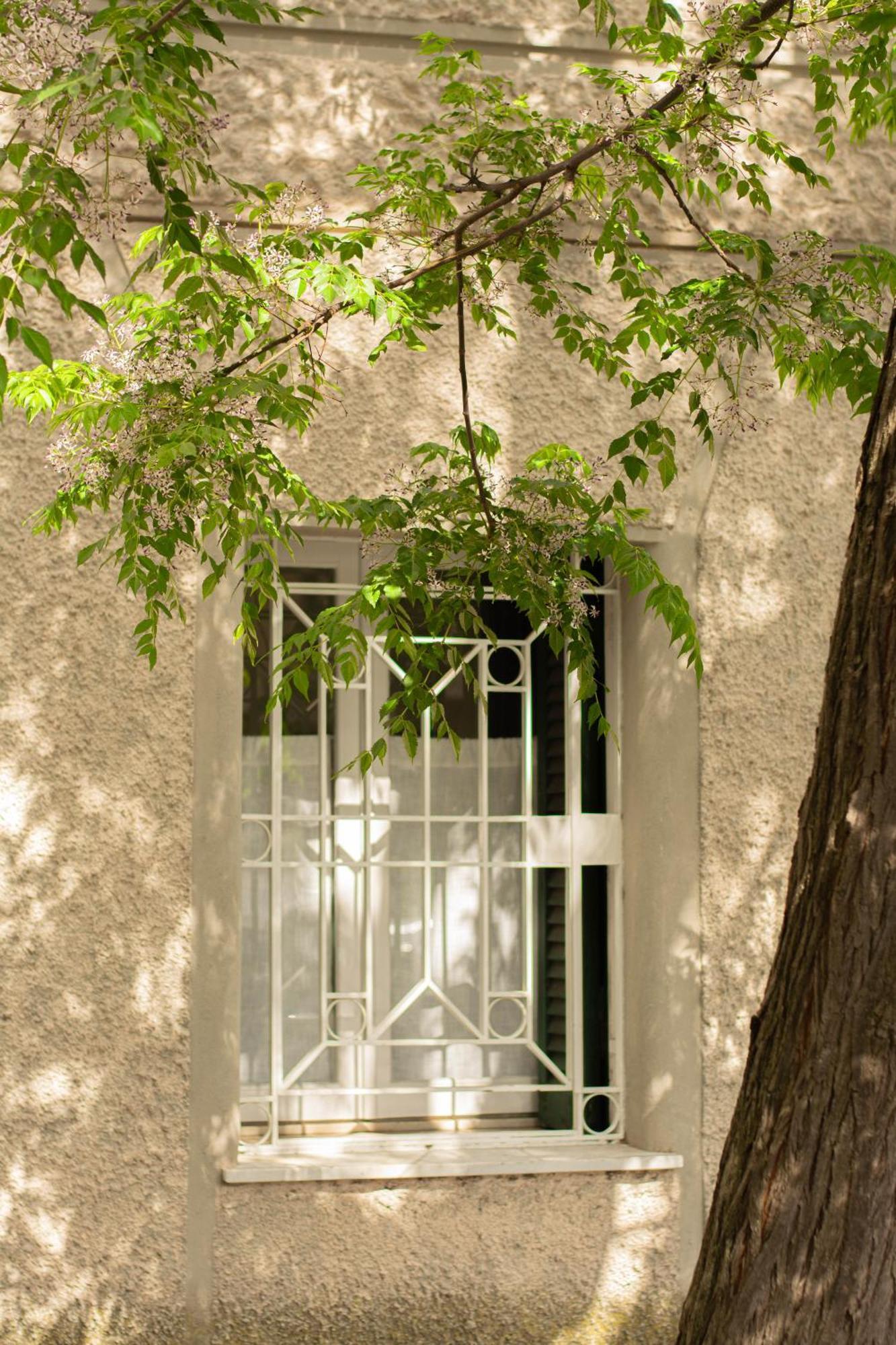 Domus Gianicolo 2B Apartment Roma Exterior foto